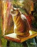 Animal Portrait—Cat on stool